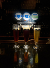 Ølsmagning 17oktober fFur bryghus